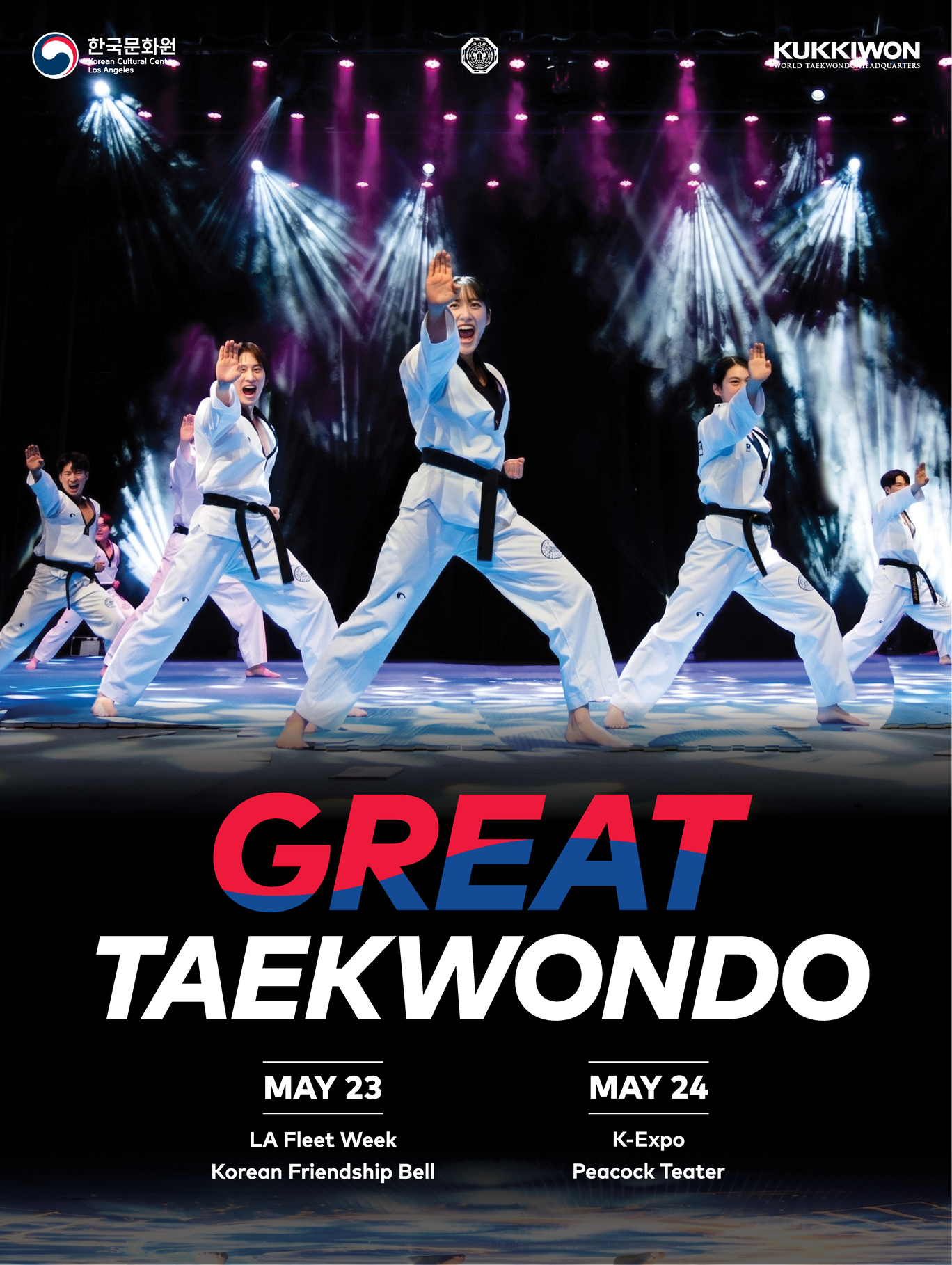 Taekwondo Poster